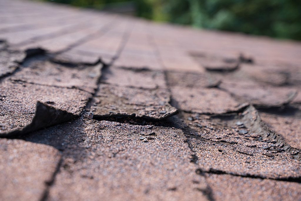 Roof Replacement Signs - Curling and Buckling Shingles